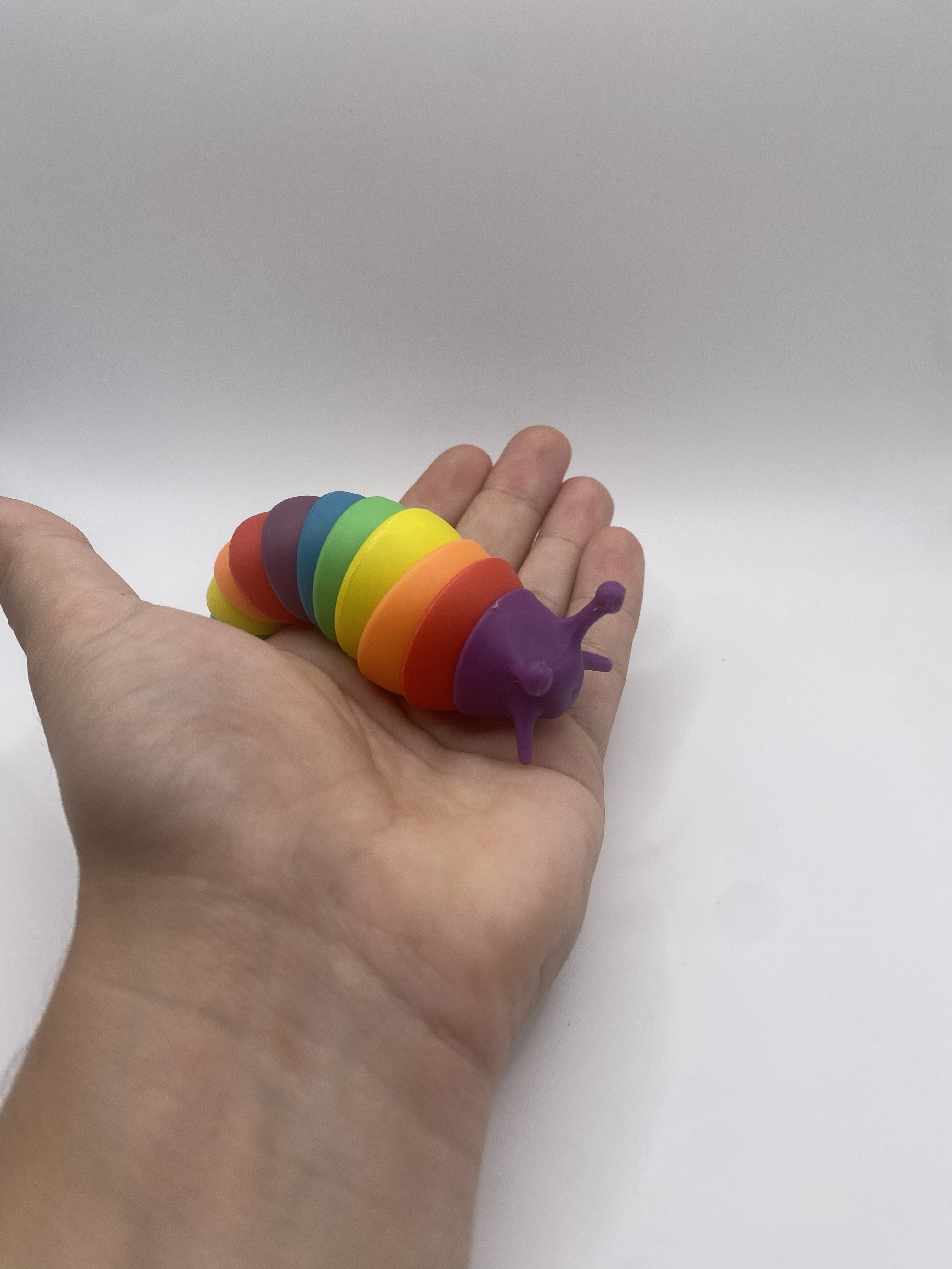 Mini Rainbow Fidget Slug