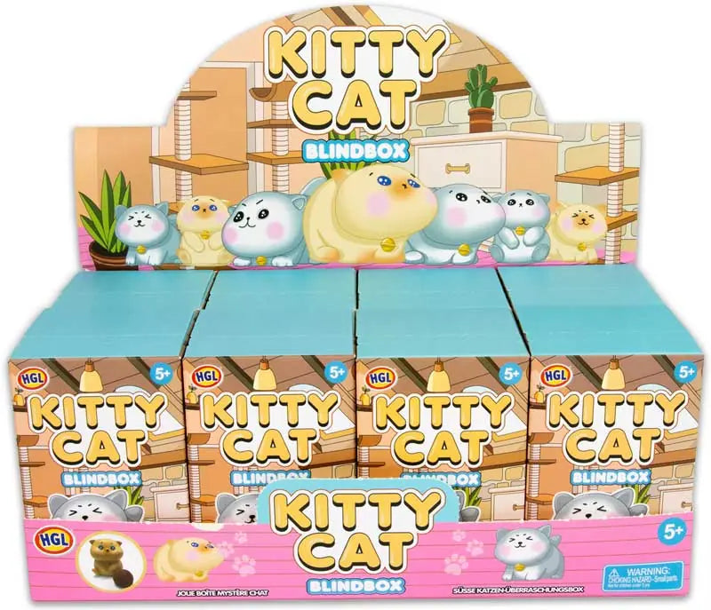 Kitty Cat Blind Box