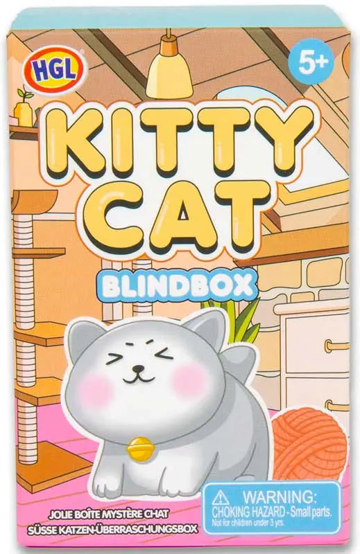 Kitty Cat Blind Box